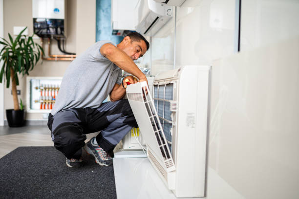 Best Affordable HVAC Duct Cleaning  in Honokaa, HI