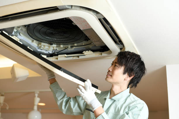 Best Affordable Duct Cleaning Services  in Honokaa, HI