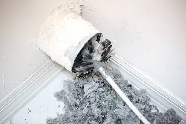 Best Best Air Duct Cleaning Company  in Honokaa, HI